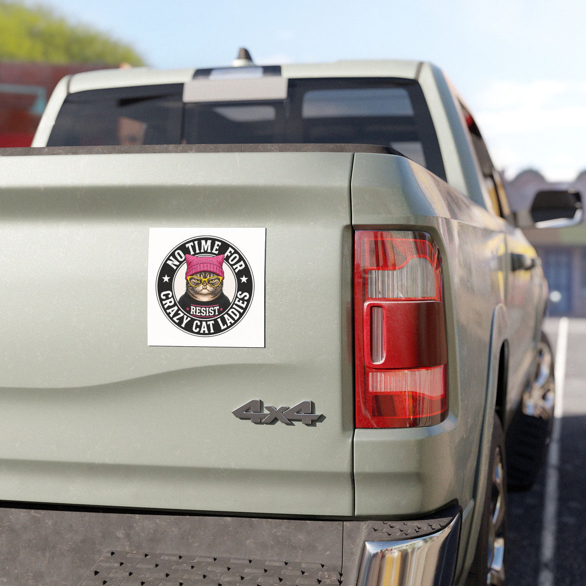 No Time for Crazy Cat Ladies Resist Cat Magnet | Car Magnet