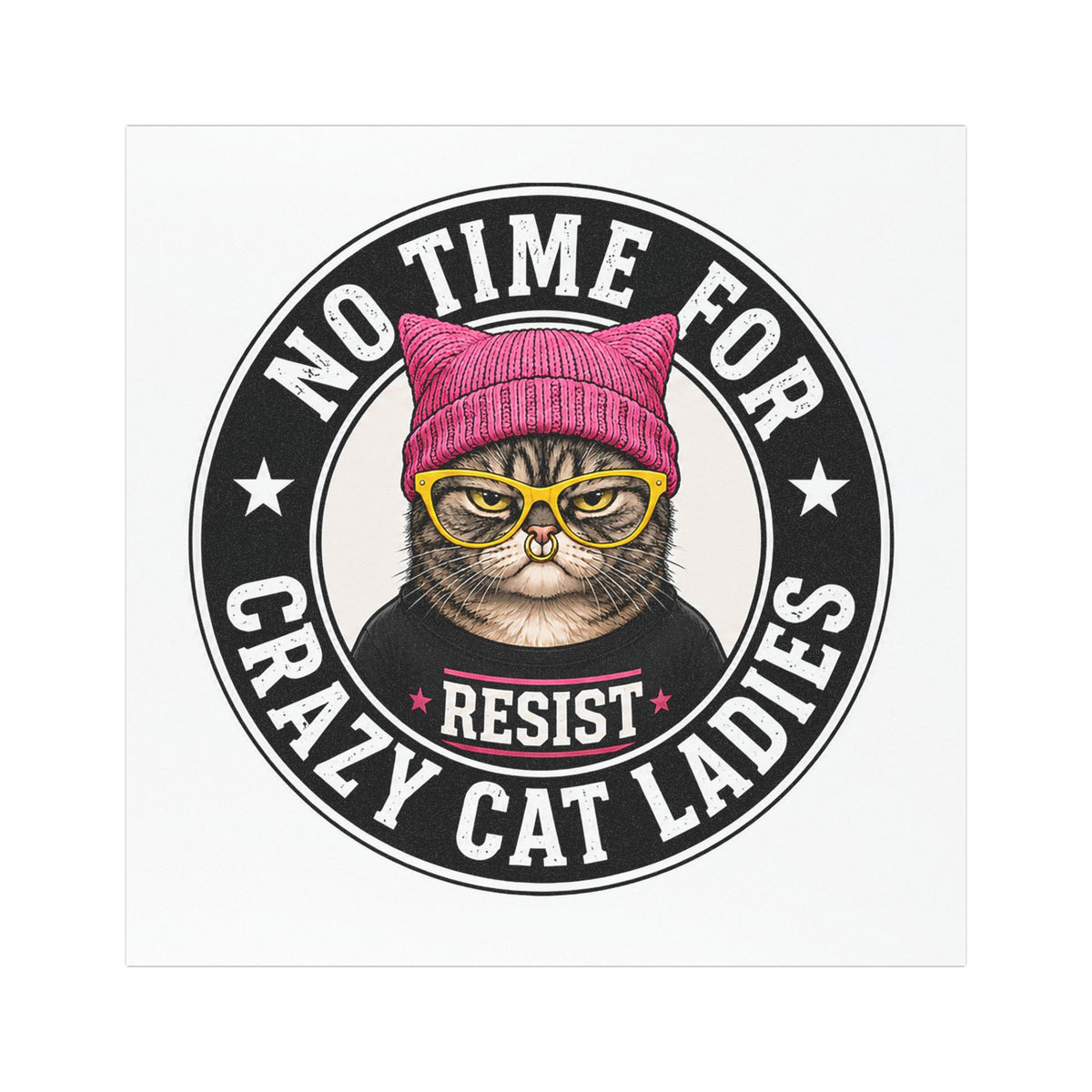 No Time for Crazy Cat Ladies Resist Cat Magnet | Car Magnet